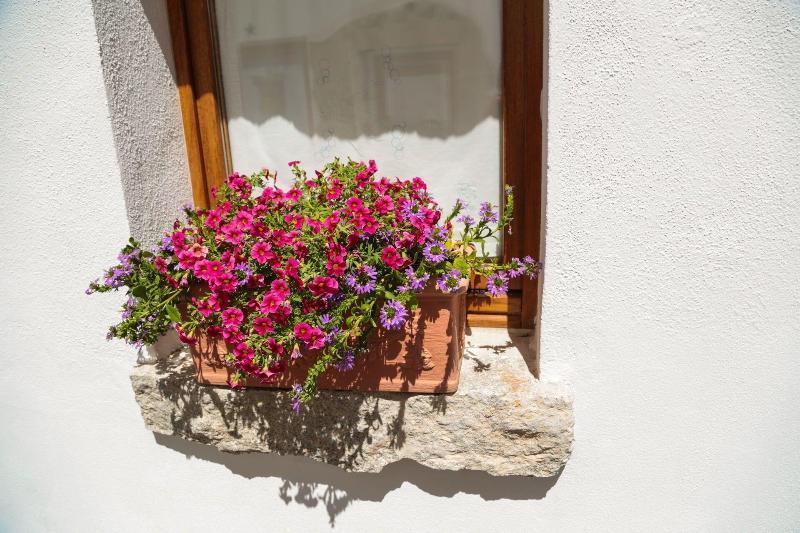 Olbia Domus Inn Ngoại thất bức ảnh