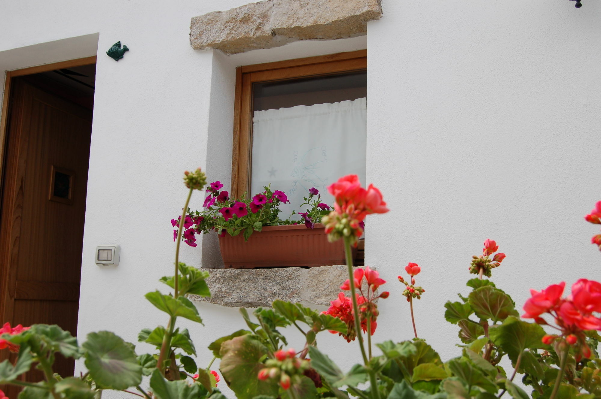 Olbia Domus Inn Ngoại thất bức ảnh